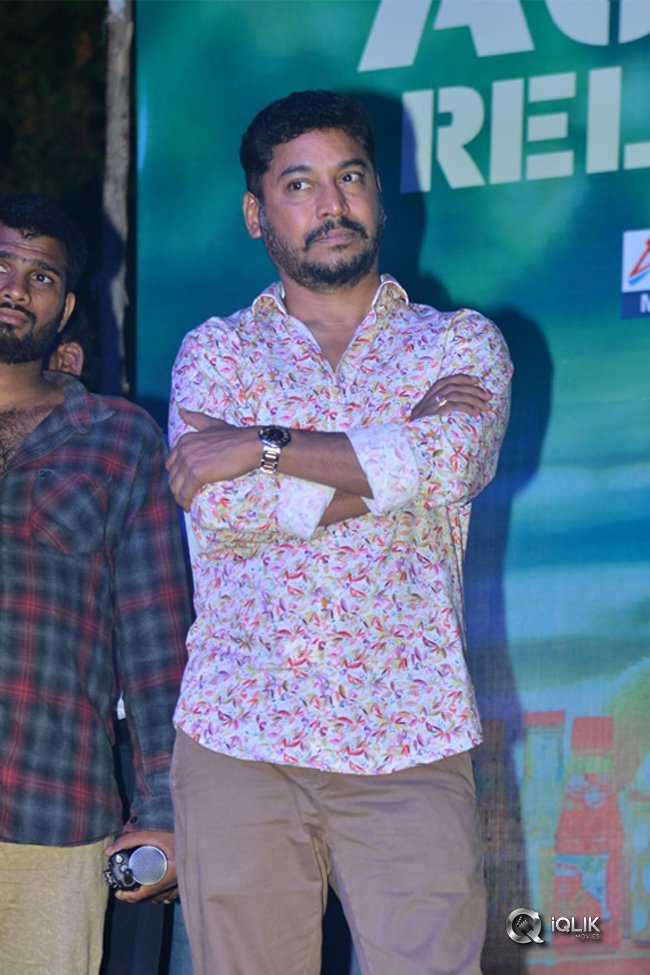 Naa-Peru-Surya-Naa-Illu-India-Movie-Audio-Launch